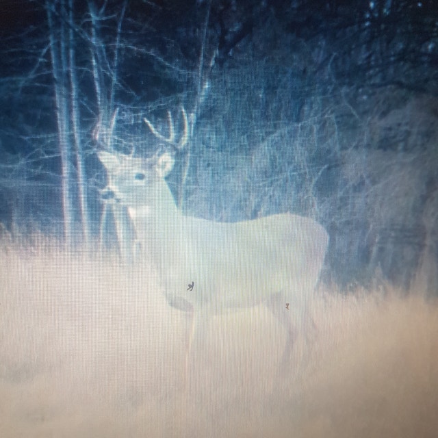 320 ACRES RM 491 BUCKLAND Land for Sale Prince Albert Kijiji