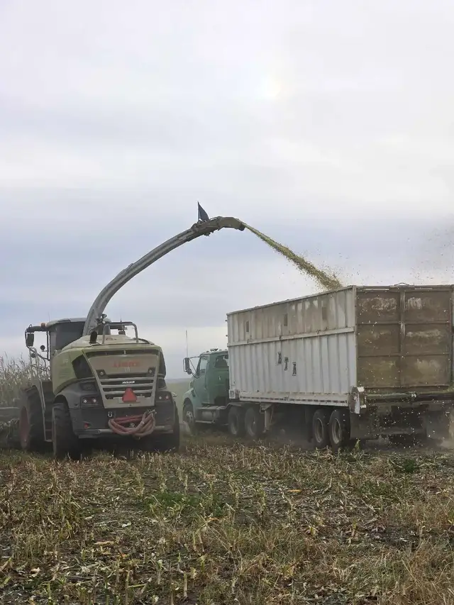 Custom Silage 586925087833477123