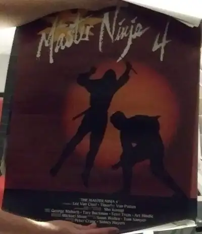 Movie posters master ninja