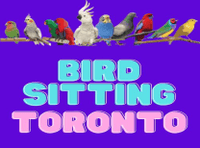 BIRD BOARDING TORONTO! | TEXT 647-490-7156