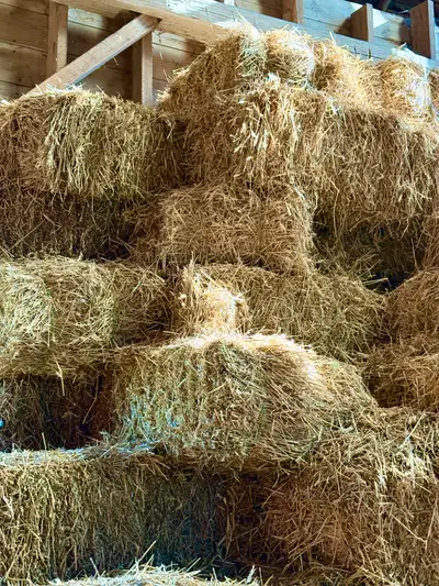 straw wheat small bales, View more