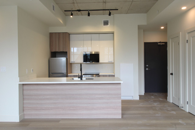 NOW LEASING: Hamilton's Hottest New Rental Apartments on Augusta in Long Term Rentals in Hamilton - Image 2