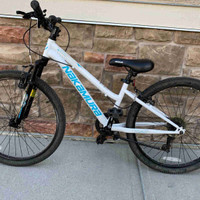 24” mountain bike