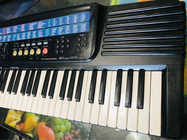 CASIO EXPERT LOGIC ACCOMPONIMENT MODEL CT-647 KEYS 61 in Pianos & Keyboards in Hamilton - Image 4