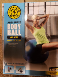 Inflatable fitness body balls
