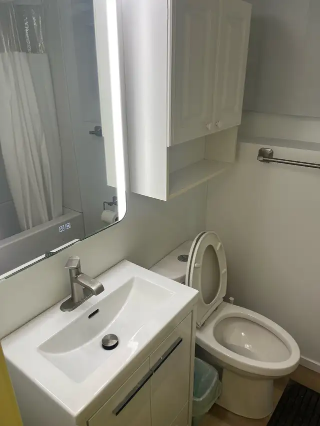 Room for rent, close to university & saskpoly & ring road in Room Rentals & Roommates in Regina - Image 6