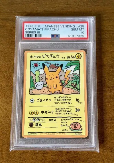 Ooyama's Pikachu, View more