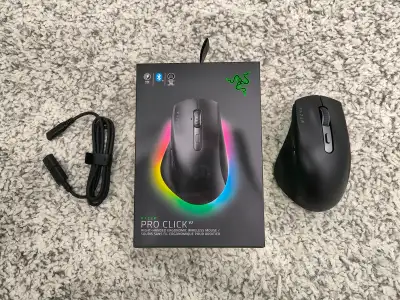 Razer Pro Click V2 Mouse, View more