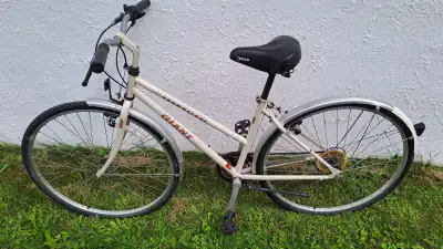 Giant Brownstone Step-Through Bicycle , View more