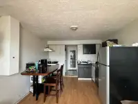 2 Bed 1 Bath walkout basement for rent. Close to Argyle Mall