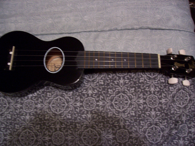 Eddy Finn Minnow ukulele in String in Trenton - Image 2