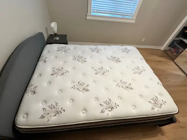 Queen Bed Set in Beds & Mattresses in Longueuil / South Shore - Image 4