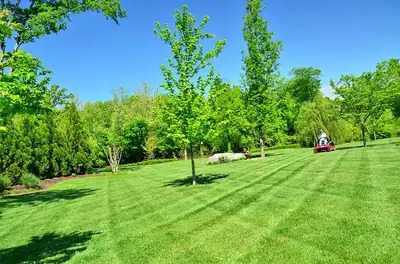 I am offering professional grass cutting services to keep your lawn looking its best. I pride myself...