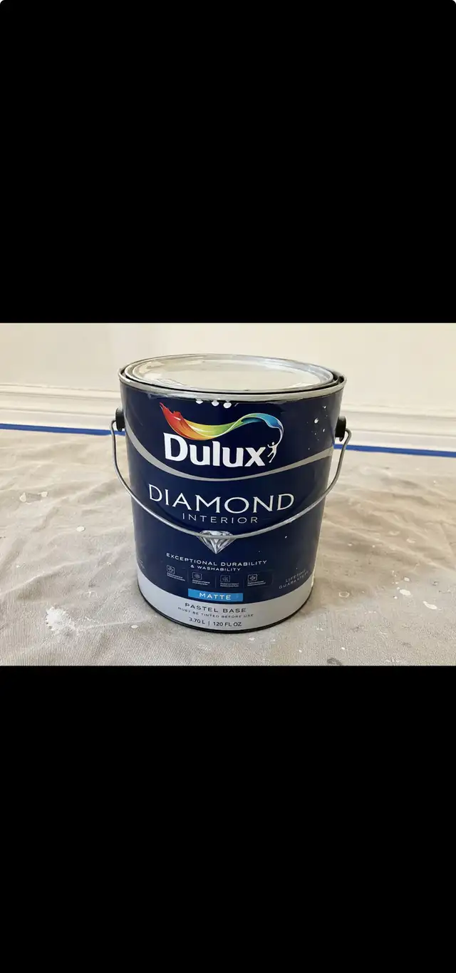 Painter /painting service
