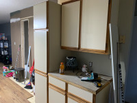 Kitchen cabinets and counter tops 