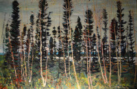 David Drum, Original oil painting, "Scrub pines and aspens".