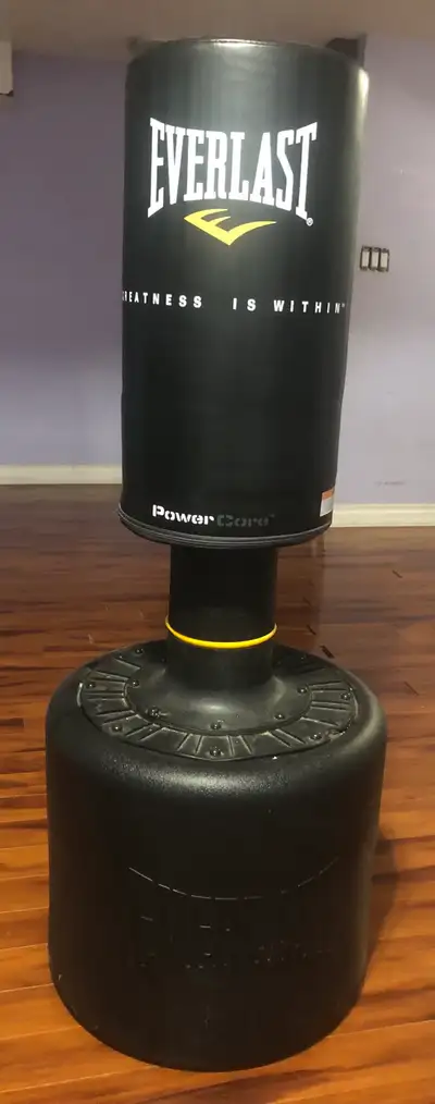 Punching Bag (Free Standing), View more