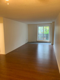1 Bedroom Apartment available June 1st