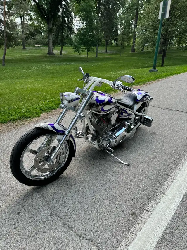 Titan Sidewinder Sturgis Edition in Street, Cruisers & Choppers in Winnipeg - Image 5