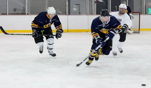 Less Competiitive Hockey at the Vollmer