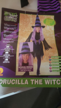 Halloween Costume Drucilla the Witch 