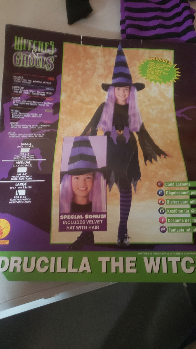 Halloween Costume Drucilla the Witch  in Costumes in Markham / York Region