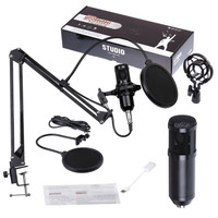 Professional Condenser Microphone with Scissor Stand and Filter