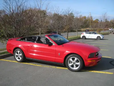 2008 Ford Mustang Convertible Pony Application Red Convertible Black Leather Seat Includes unique Po...