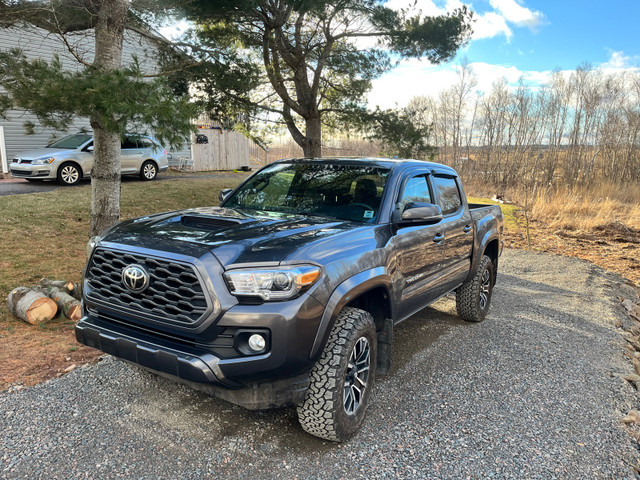 2020 Toyota Tacoma TRD Sport Premium Double Cab Short Bed MANUAL in Cars & Trucks in Truro