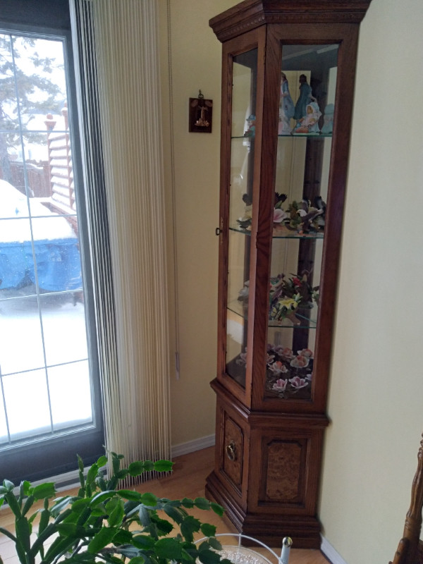 ANTIQUE CURIO CABINET in Hutches & Display Cabinets in Winnipeg - Image 2