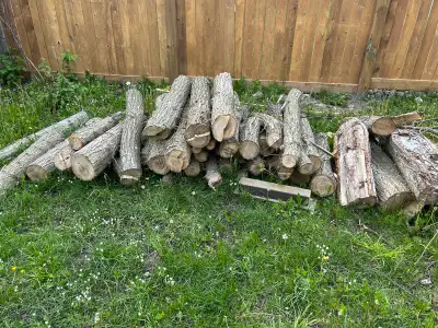 Free Logs (3-4 ft Length), View more