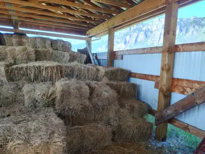2024 HAY BALES FOR SALE - 20x36x12", View more
