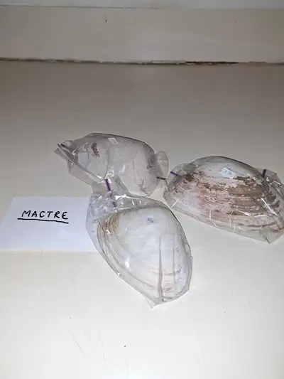 10 $ chaque