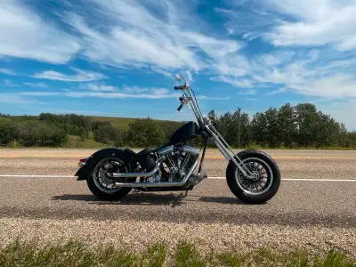 Hardtail Evolution Chopper -engine is 1992 evo. was rebuilt before I bought it with less than 2000km...