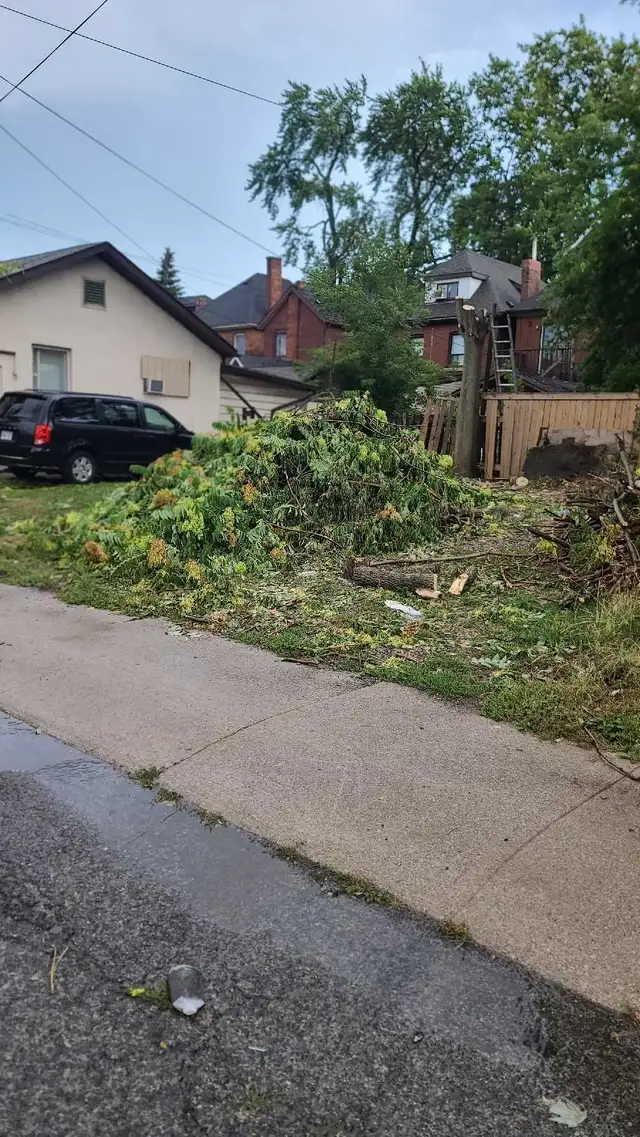 Tree Removal, Branch Removal Tree Cutting Service and Han in Lawn, Tree Maintenance & Eavestrough in Hamilton - Image 11