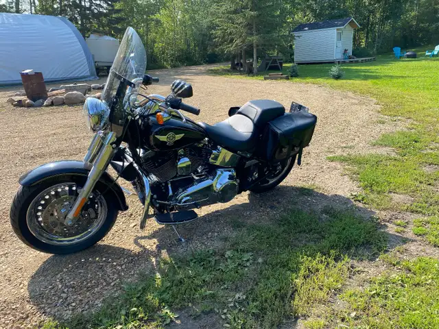 2016 Harley Davidson FATBOY in Street, Cruisers & Choppers in Edmonton - Image 8