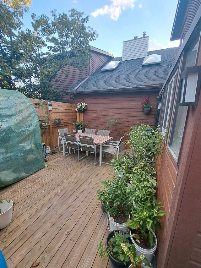 Room For Rent (Basement) in Long Term Rentals in Edmonton - Image 3