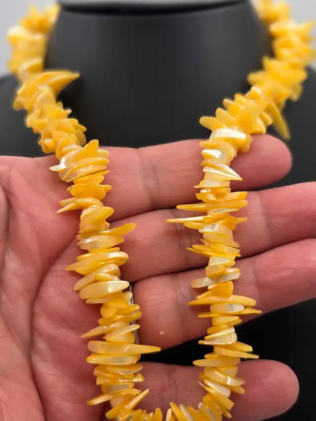 Shell Necklace63008305989123122