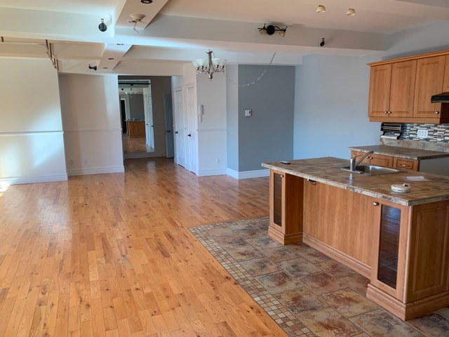 Grand Loft 3 1/2 centre ville Salaberry-de-Valleyfield — photo 1