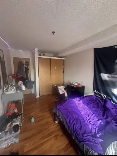 Private bedroom available from 1st February at 2080 Quingate Place Details: Looking for a single occ...