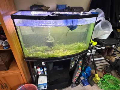 46 Gallon BowFront aquarium with Stand full setup, View more