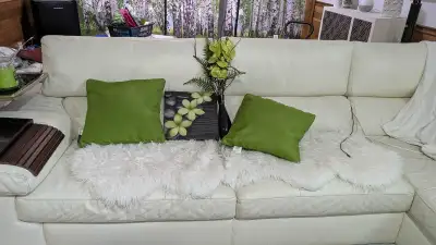Vase..flowers, picture and toss pillowd, View more