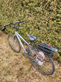Biclyclette MINELLI PROMENADE