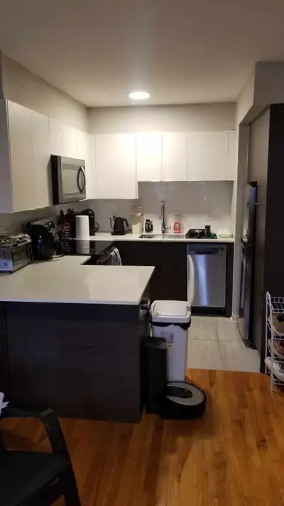 1 bedroom apartment, july 1st, quite professional building.