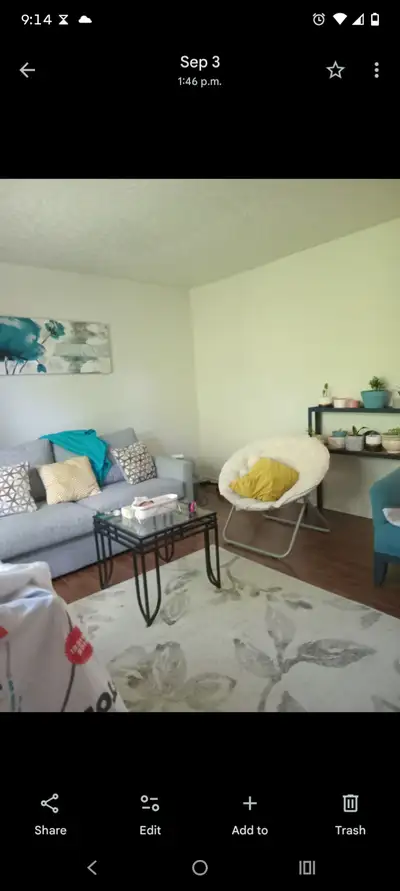 Available from Dec 1st till Jan 14. Central location. Short walk to universities and hospitals. Bus...