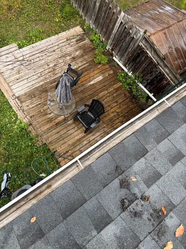 Exterior services & fall cleanup/snow removal in Lawn, Tree Maintenance & Eavestrough in Ottawa - Image 8