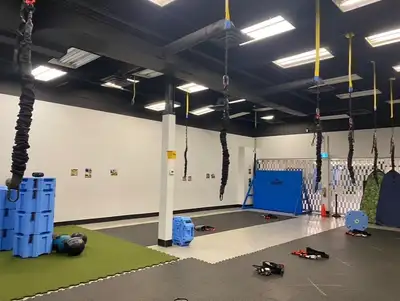 Bungee Fitness Gear - 10 sets + 1 spare cord, View more