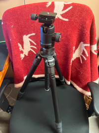 Gitzo GT2541 carbon tripod with Markins Q10 ball head and plate.