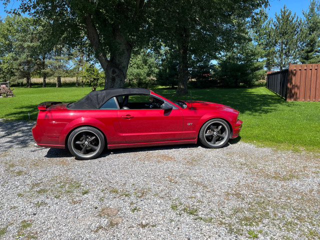 2008 mustang GT convertible  in Cars & Trucks in St. Catharines