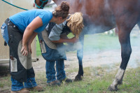 Professional Farrier Course